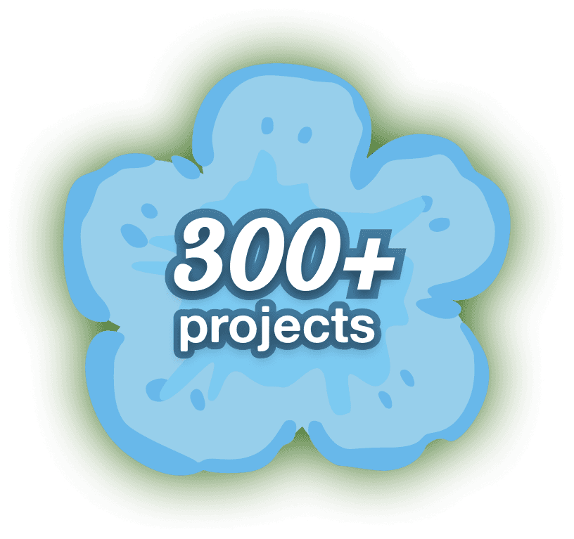 300+ projects